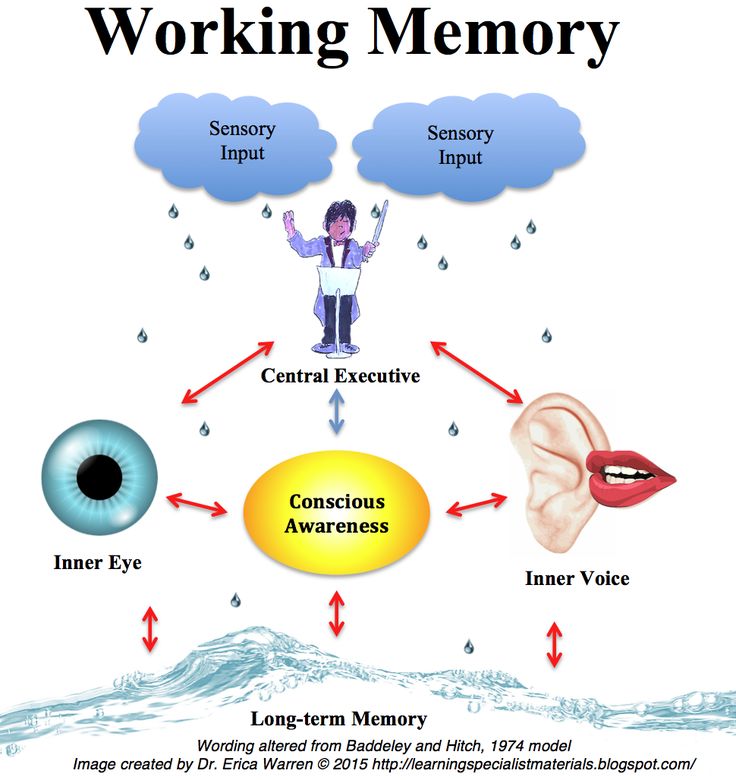 0769a5a378f89742160c24348e984055--working-memory-executive-functioning