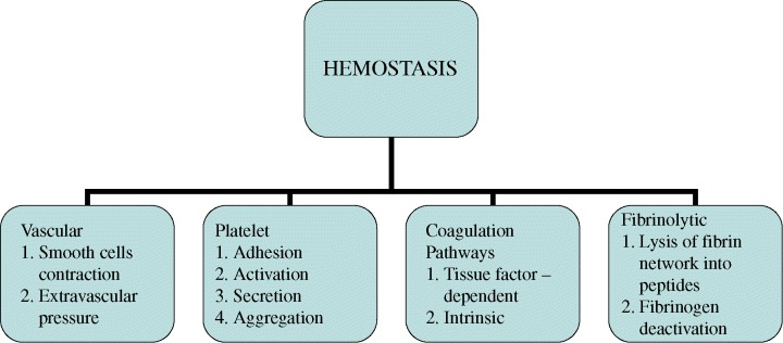 Figure-1-Hemostasis-phases