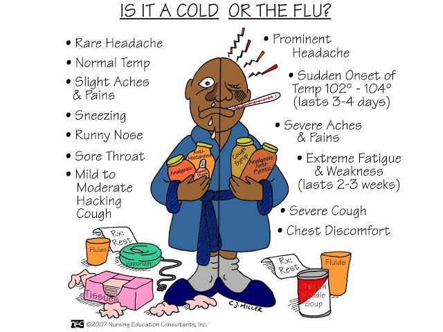 Is-This-A-Cold-Or-A-Flu