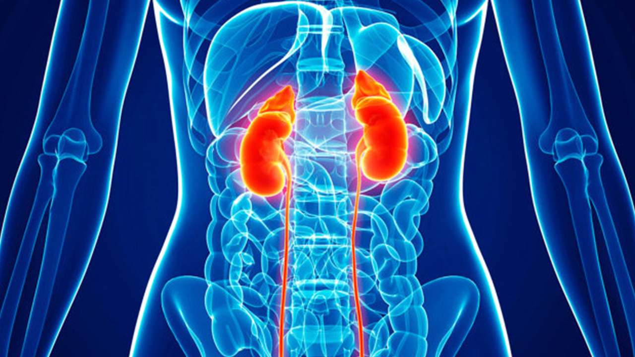wbz-symptoms-of-kidney-disease
