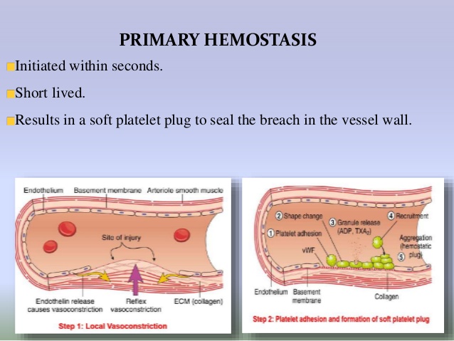 hemostasis-4-638